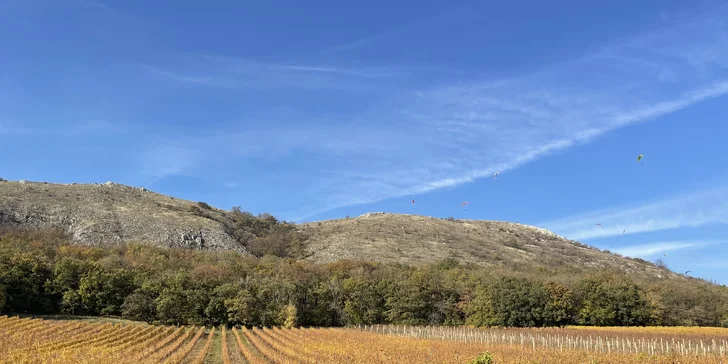 Parádna Pálava: luxusné apartmány na dosah viníc aj Lednicko-valtického areálu