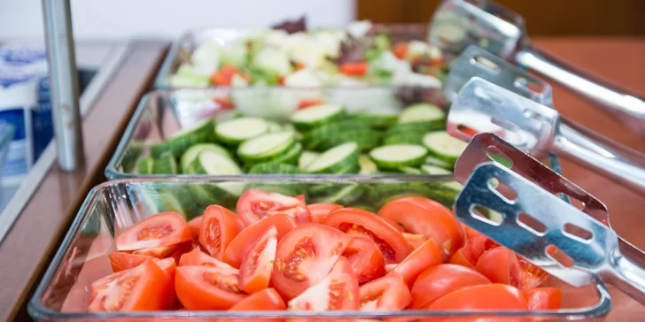 Pobyt v kongresovom hoteli v Prahe s raňajkami, 100 m od metra Budějovická