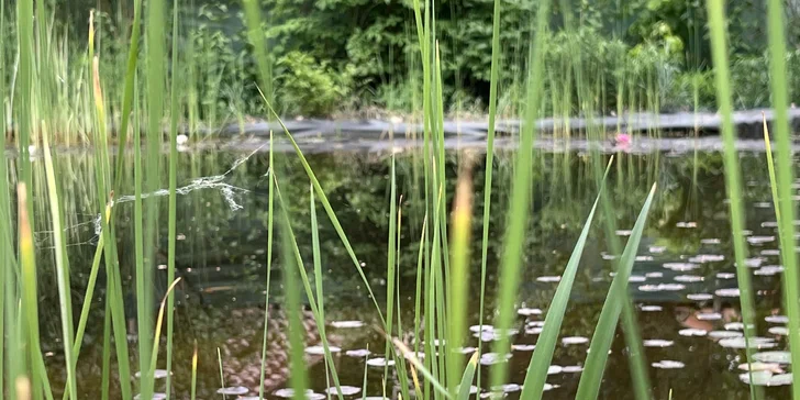 Pobyt v Kersku: ubytovanie v penzióne s možnosťou raňajok
