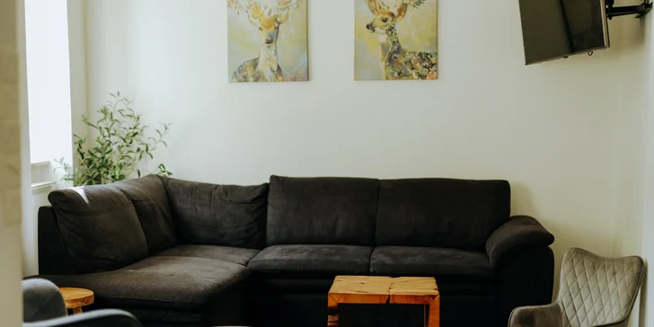 Krásny penzión v Jáchymove až pre 12 osôb: 4 spálne a vonkajšia terasa, asi 2,5 km od kúpeľov