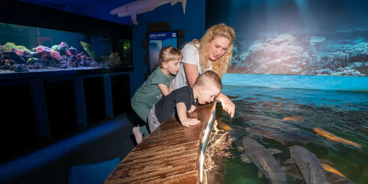 Wellness hotel na Lipně: raňajky a neobmedzene aquapark a saunový svet