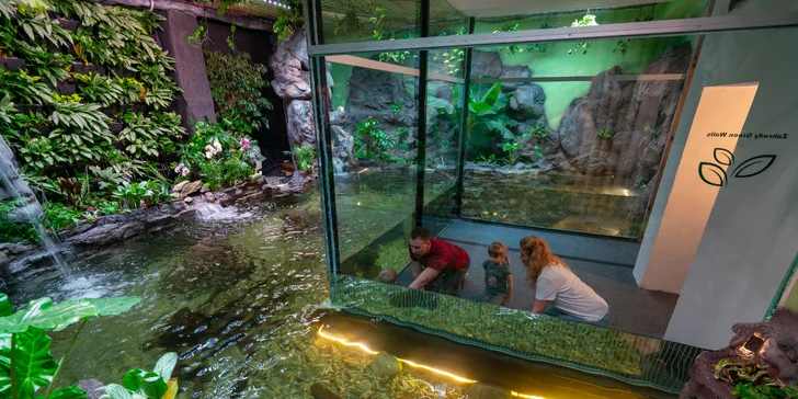 Wellness hotel na Lipně: raňajky a neobmedzene aquapark a saunový svet