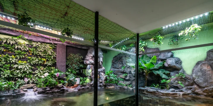 Wellness hotel na Lipně: raňajky a neobmedzene aquapark a saunový svet