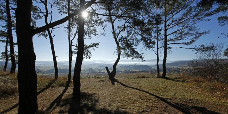 Krásne vybavený drevený domček pri zatopenom lome v podhorí Šumavy: pobyt až pre 4 osoby