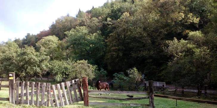 Dovolenka v podhradí Karlštejna: Príroda, pokoj a množstvo turistických zaujímavostí v okolí