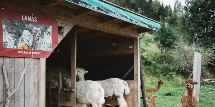 Pobyt s raňajkami alebo polpenziou v rakúskom penzióne neďaleko Zell am See a Kaprunu