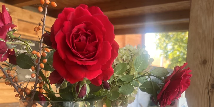 Pobyt na južnej Morave: raňajky, degustácia aj fľaša vína