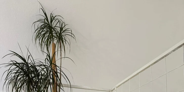 Pobyt v Jindřichovom Hradci: plne vybavené apartmány v centre mesta