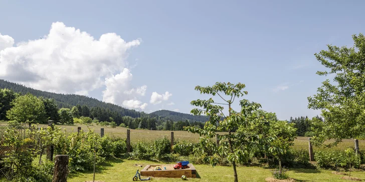 Pobyt v Beskydách až pre 6 osôb: trojizbové apartmány, záhrada s posedením