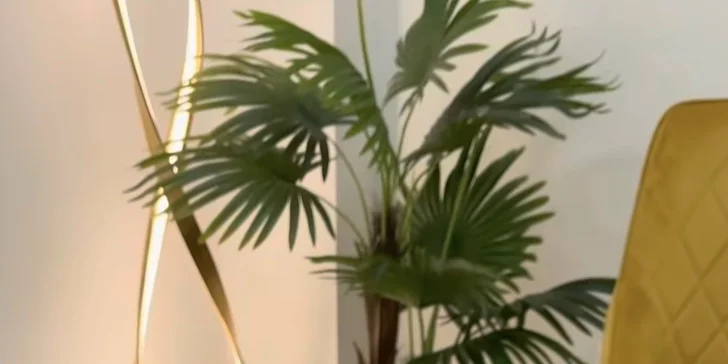 Klasická či reflexná masáž tela v salóne Miršer