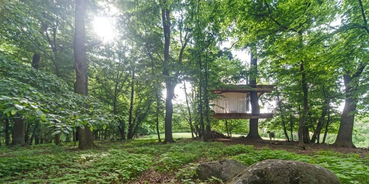 Romantika s výhľadom na ovčiu pastvinu: treehouse s krásnym krbom len pre vás dvoch