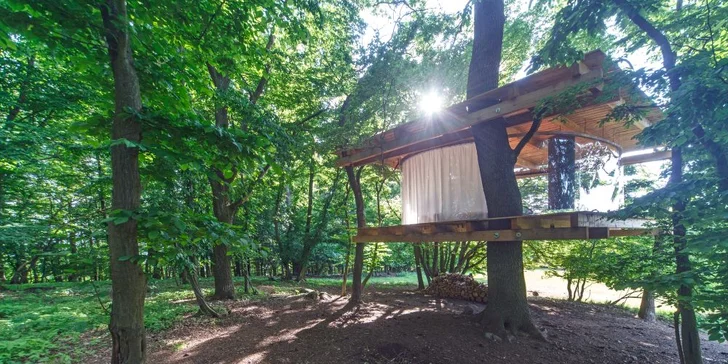 Romantika s výhľadom na ovčiu pastvinu: treehouse s krásnym krbom len pre vás dvoch