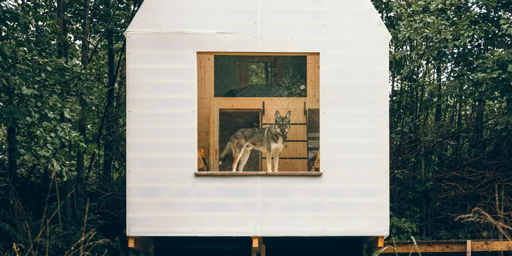 Romantika ako trám: útulňa so saunou na brehu Jizery