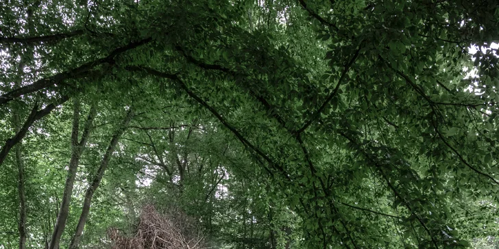 Romantický úkryt: obytná sauna Rošťák ukrytá v lese pri potoku