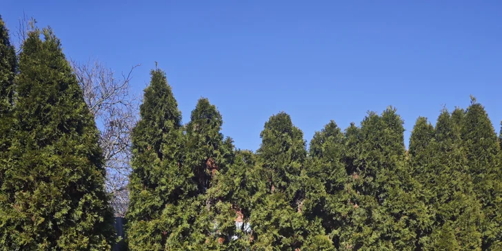 Pohodový pobyt s raňajkami alebo polpenziou v strednom Povltaví