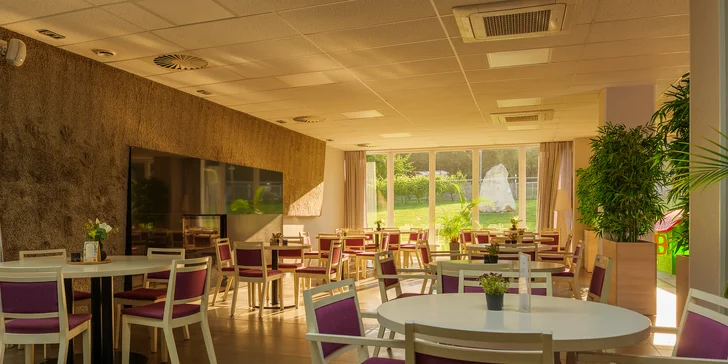 Netradičný pobyt na Zemplíne: kapsulový dom s wellness a možnosťou stravy