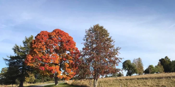Rodinný hotel v Horskej Kvilde: raňajky a sauna pre pár aj rodinu