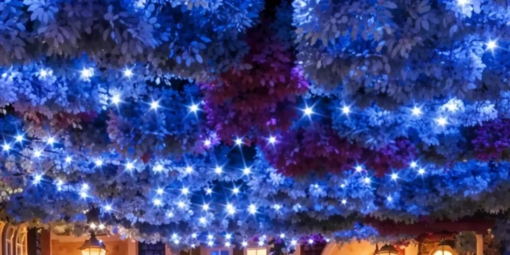 Vstup do kráľovstva trikov a ilúzií Wonderville pre deti aj dospelých