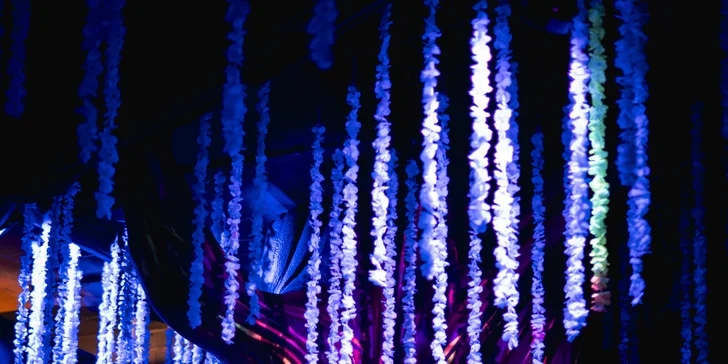 Vstup do kráľovstva trikov a ilúzií Wonderville pre deti aj dospelých