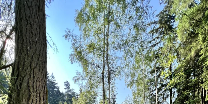 Netradičný relax v prírode pri Adršpachu: vybavená jurta so saunou pre pár aj rodinu