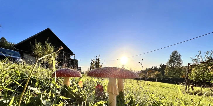 Netradičný relax v prírode pri Adršpachu: vybavená jurta so saunou pre pár aj rodinu