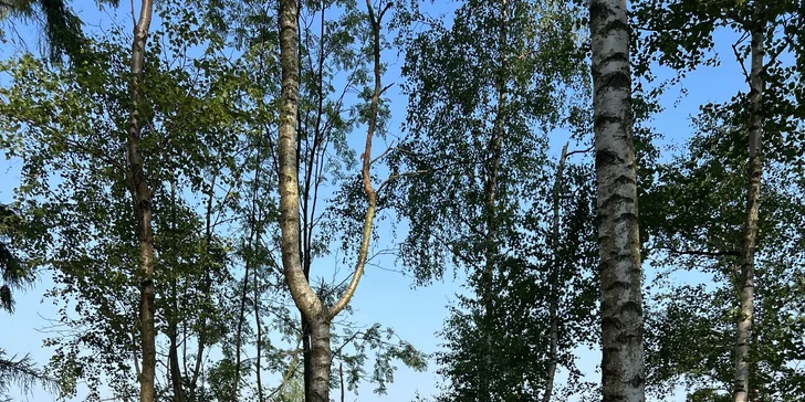 Netradičný relax v prírode pri Adršpachu: vybavená jurta so saunou pre pár aj rodinu