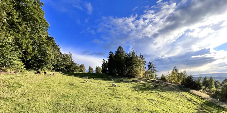 Netradičný relax v prírode pri Adršpachu: vybavená jurta so saunou pre pár aj rodinu