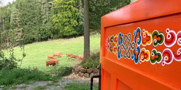 Netradičný relax v prírode pri Adršpachu: vybavená jurta so saunou pre pár aj rodinu