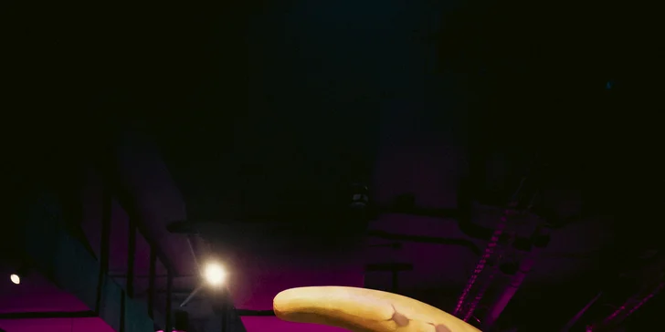 Vstup do kráľovstva trikov a ilúzií Wonderville pre deti aj dospelých