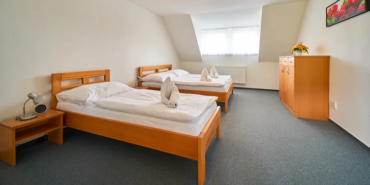 Pobyt s polpenziou a wellness v útulnom penzióne Dolinka pod Kráľovou hoľou