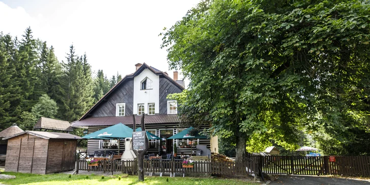 Pobyt v malebnej drevenici na okraji Harrachova s bohatou polpenziou formou bufetu
