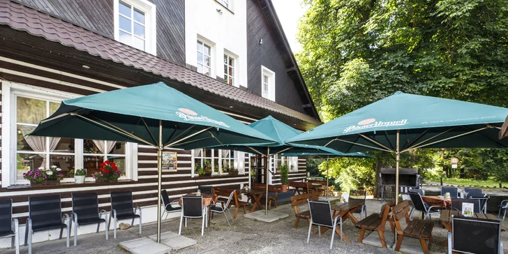 Pobyt v malebnej drevenici na okraji Harrachova s bohatou polpenziou formou bufetu