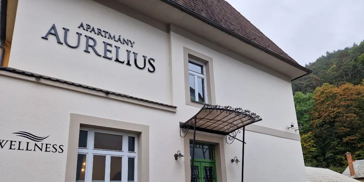 Apartmán v centre Trenčína so vstupom do privátneho wellness