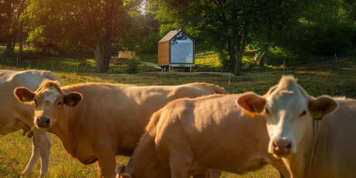 Vybavený tiny house uprostred Balinského údolia: prírodný vyhrievaný sud, gril aj parkovanie zadarmo