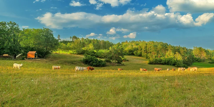 Vybavený tiny house uprostred Balinského údolia: prírodný vyhrievaný sud, gril aj parkovanie zadarmo
