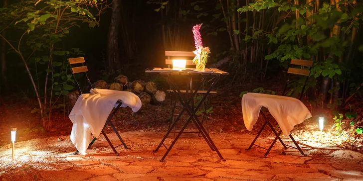 Tiny house na Vysočine: krásna lokalita na samote, sauna, gril a komfortné vybavenie