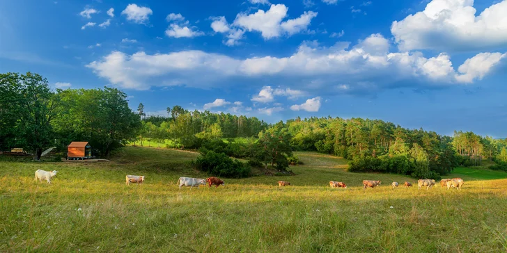 Tiny house na Vysočine: krásna lokalita na samote, sauna, gril a komfortné vybavenie