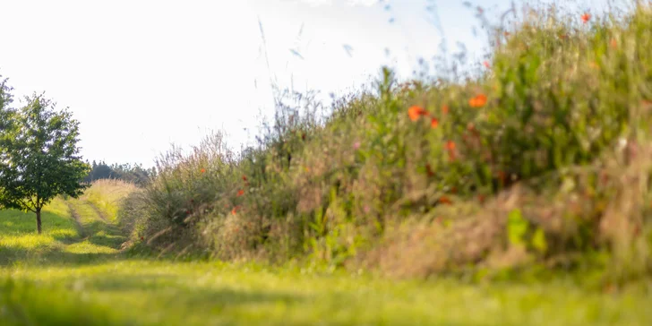 Romantický pobyt v luxusnej ulite glampingového štýlu na Morave