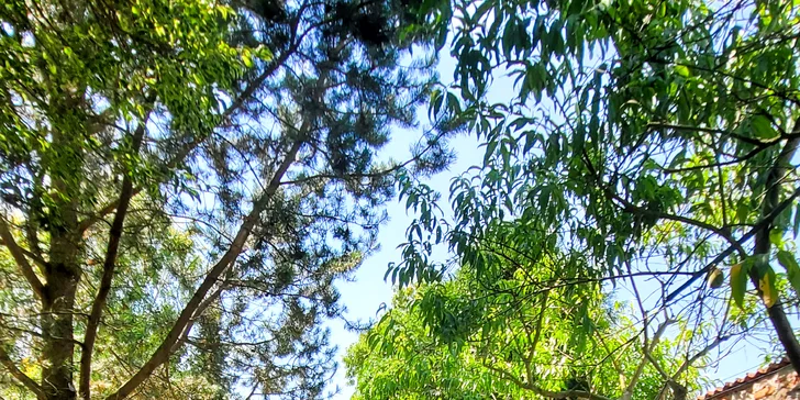 Štýlový tiny house v západných Čechách pre dvoch: sauna, jazierko aj muzikoterapia