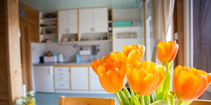 Štýlový tiny house v západných Čechách pre dvoch: sauna, jazierko aj muzikoterapia