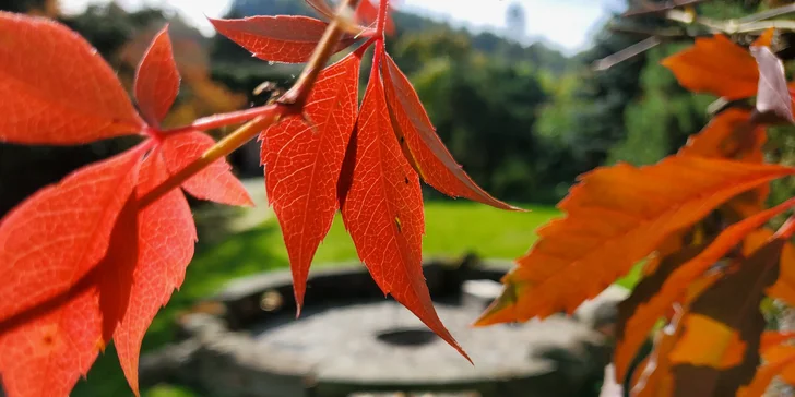 Štýlový tiny house v západných Čechách pre dvoch: sauna, jazierko aj muzikoterapia