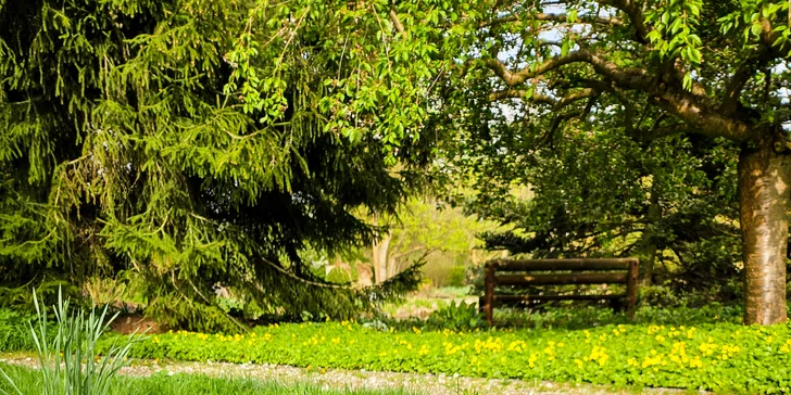 Glamping v západných Čechách: vybavený stan v záhrade vrátane vonkajšej kúpeľne