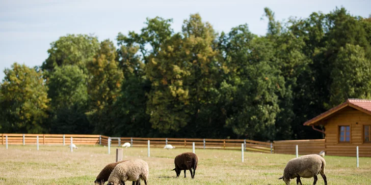 Pohoda na Vysočine pre pár aj rodinu: raňajky, vonkajší bazén a výlety