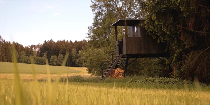 Samota a pokoj priamo pri rybníku v posede na Vysočine: minimalistický dizajn a vôňa dreva