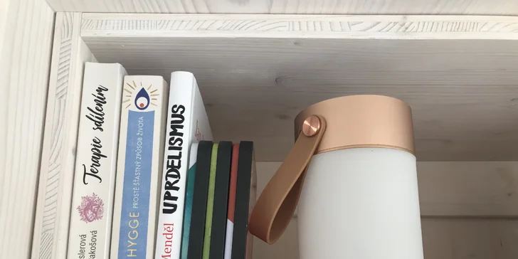 Samota a pokoj priamo pri rybníku v posede na Vysočine: minimalistický dizajn a vôňa dreva