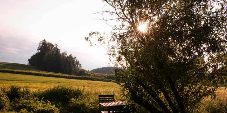 Samota a pokoj priamo pri rybníku v posede na Vysočine: minimalistický dizajn a vôňa dreva