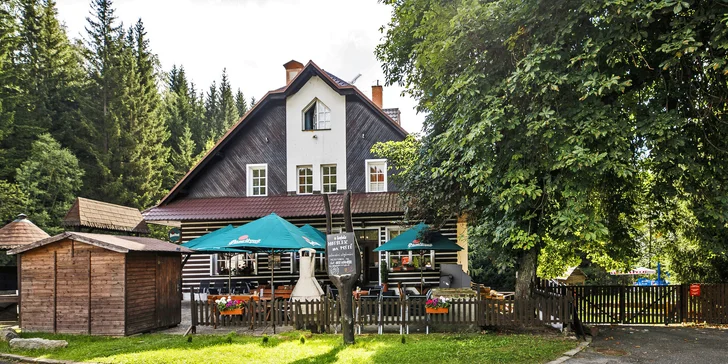 Pobyt v malebnej drevenici na okraji Harrachova s bohatou polpenziou formou bufetu