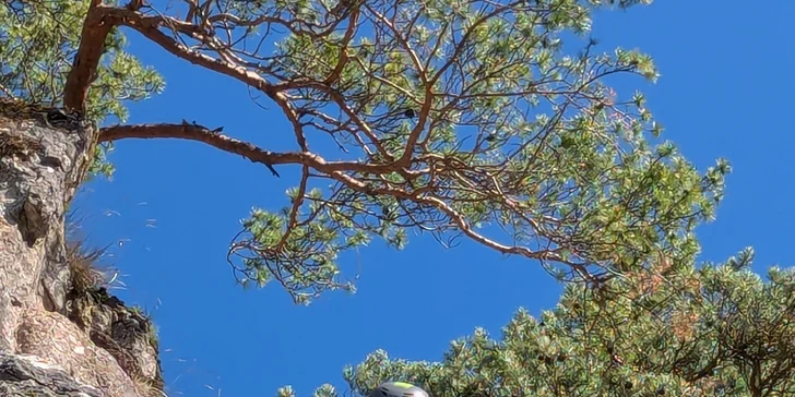 Horolezecké kurzy BB: Ferraty Sokolie skally, Zobor a Dve veže s certifikovaným inštruktorom