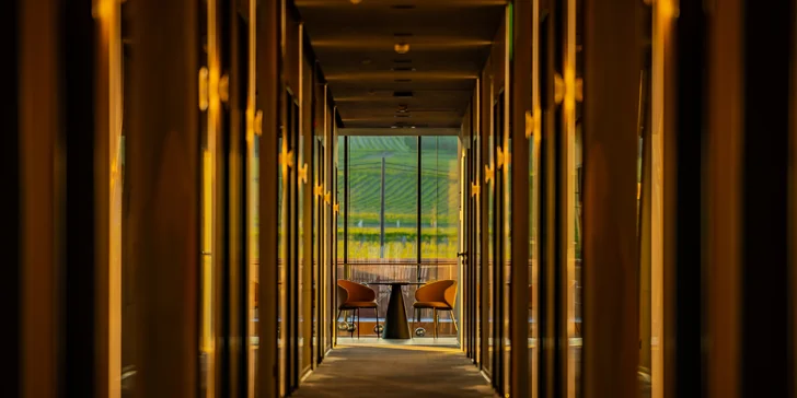 Vinársky pobyt so stravou a wellness: romantika pre dvoch aj vstupy do kúpeľov