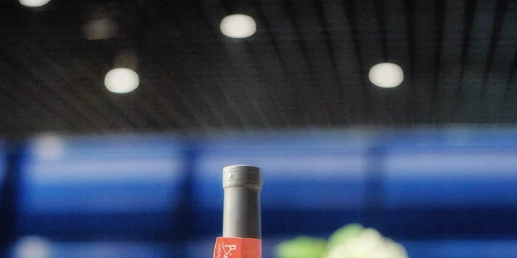 Za relaxom do Vodíc: pobyt v 4* hoteli so stravou a neobmedzeným vstupom do wellness